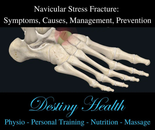 Understanding the Navicular Stress Fracture.
