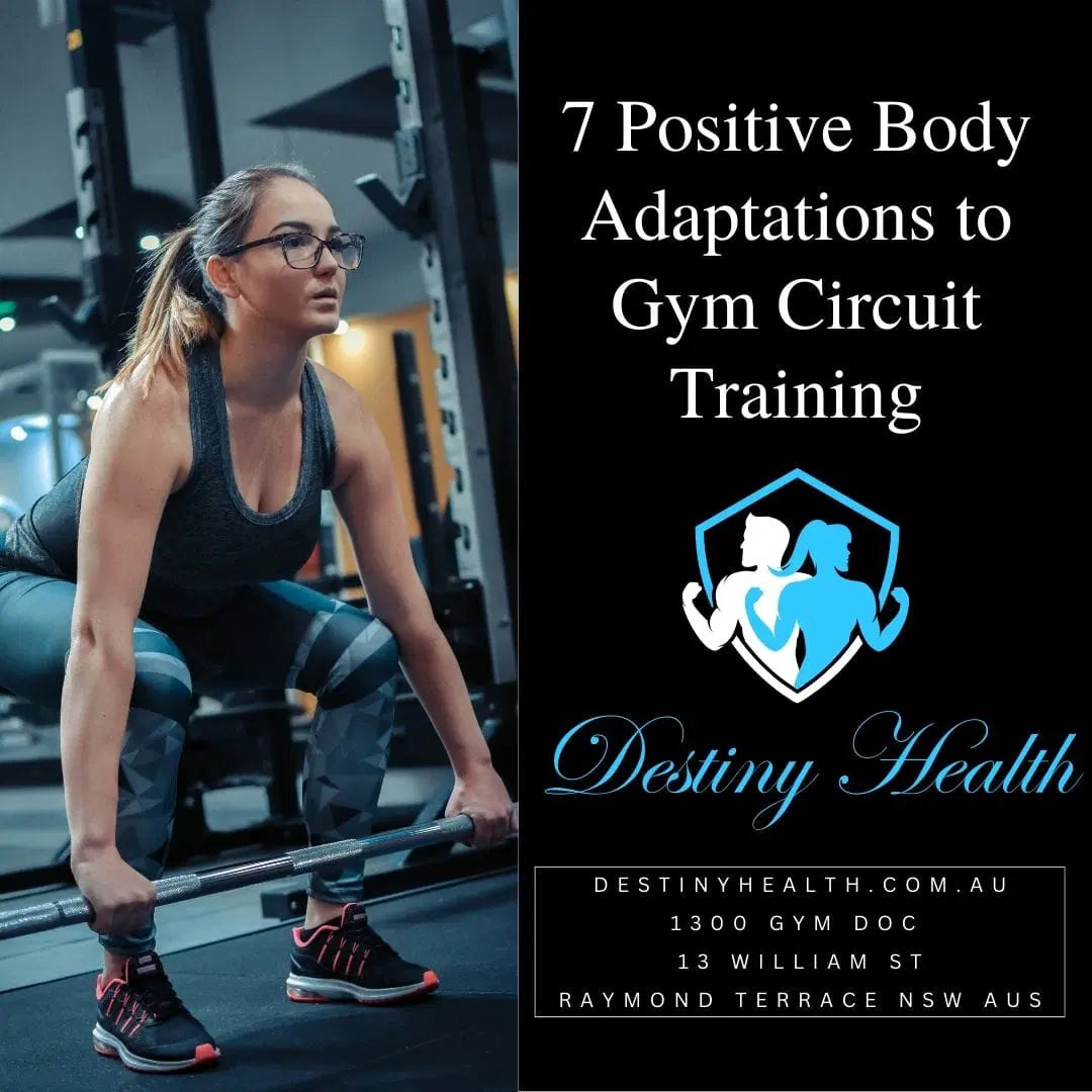 About Programs Referrals Blog Shop Free 45 Minute Assessment Here 7 Positive Body Adaptations to Gym Circuit Training