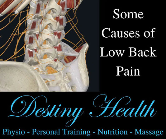 Some Causes of Low Back Pain