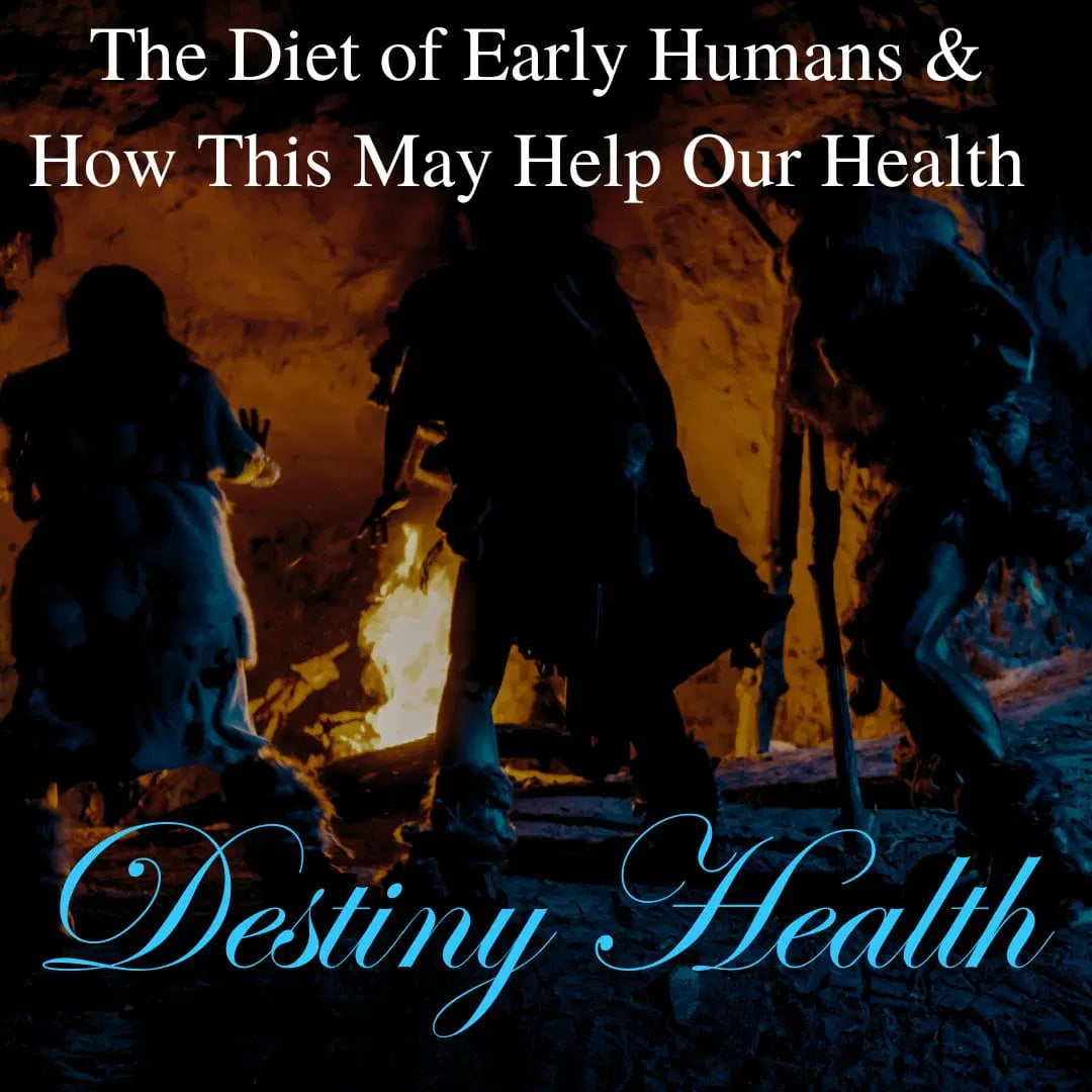 The Diet of Early Humans & How This May Help Our Health