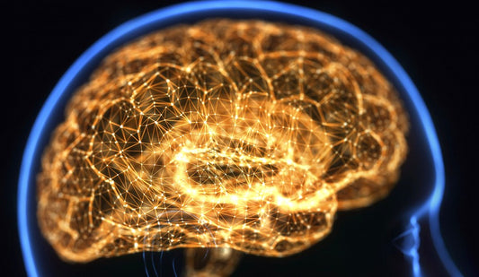 The Brain’s Orchestra: Understanding Neurotags and Why They Matter in Chronic Pain