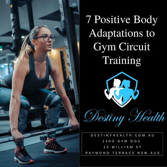 About Programs Referrals Blog Shop Free 45 Minute Assessment Here 7 Positive Body Adaptations to Gym Circuit Training