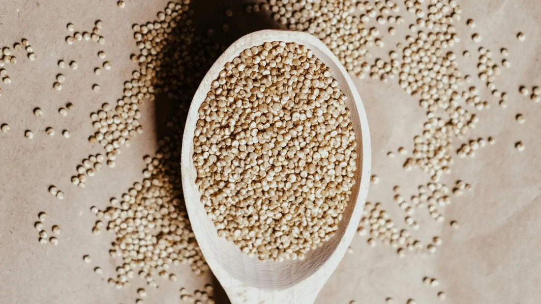 10 Surprising Reasons Why Magnesium is Essential