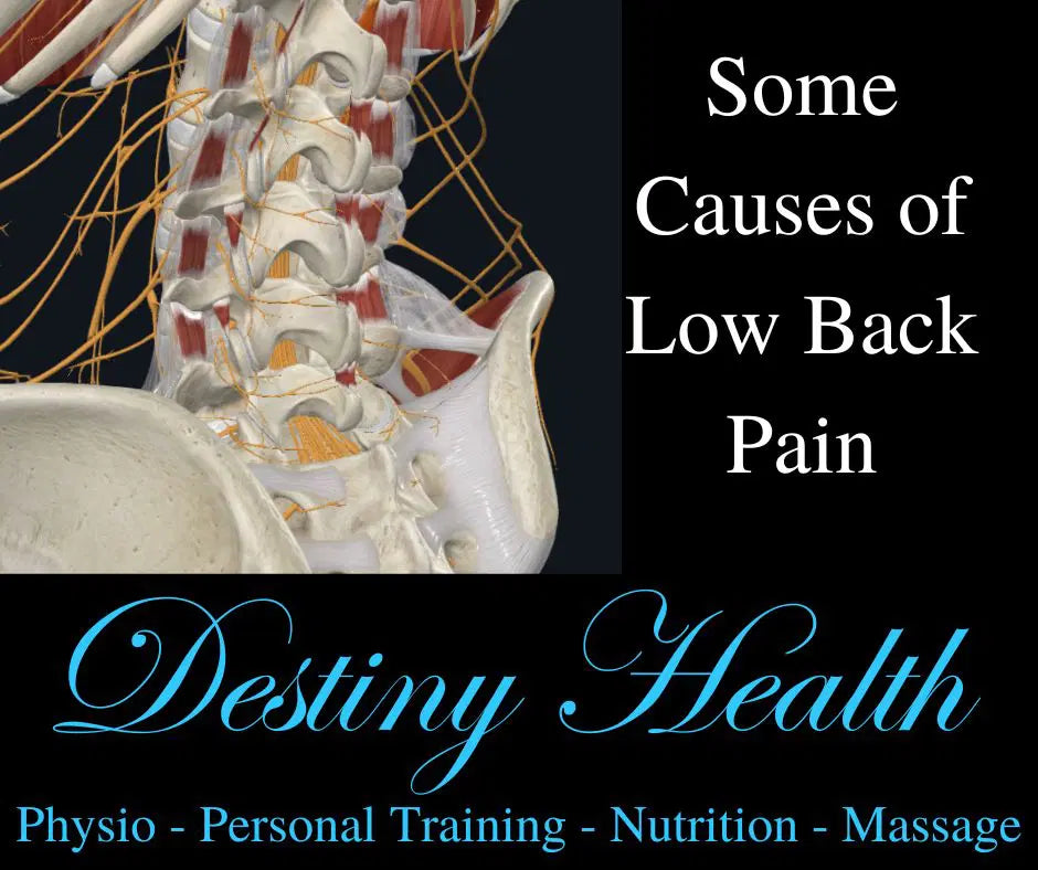 Some Causes of Low Back Pain
