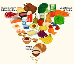 The Great Flip: Why the New ‘Upside-Down’ Food Pyramid Is Your Family’s Next Big Health Battle