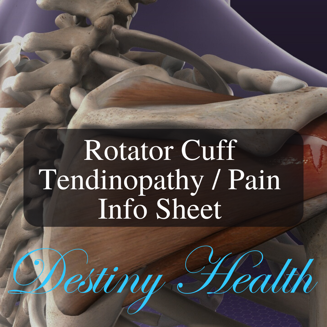 Rotator Cuff Tendinopathy Pain Info Sheet