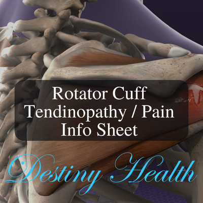 Rotator Cuff Tendinopathy Pain Info Sheet