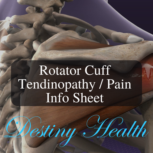 Rotator Cuff Tendinopathy Pain Info Sheet