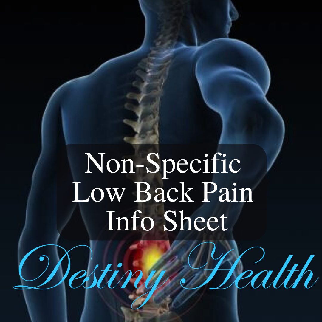 Non-Specific Low Back Pain Info Sheet