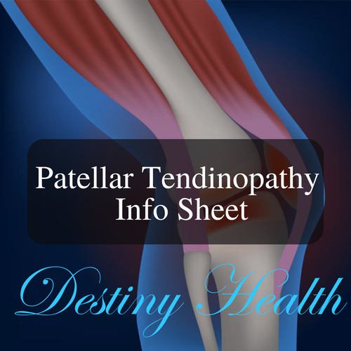 Patellar Tendinopathy Info Sheet