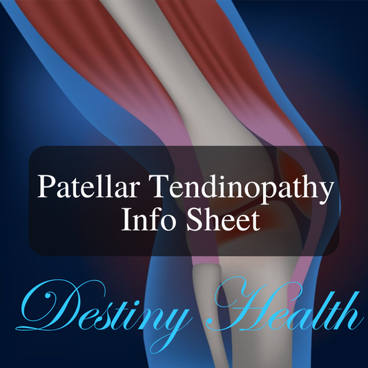 Patellar Tendinopathy Info Sheet