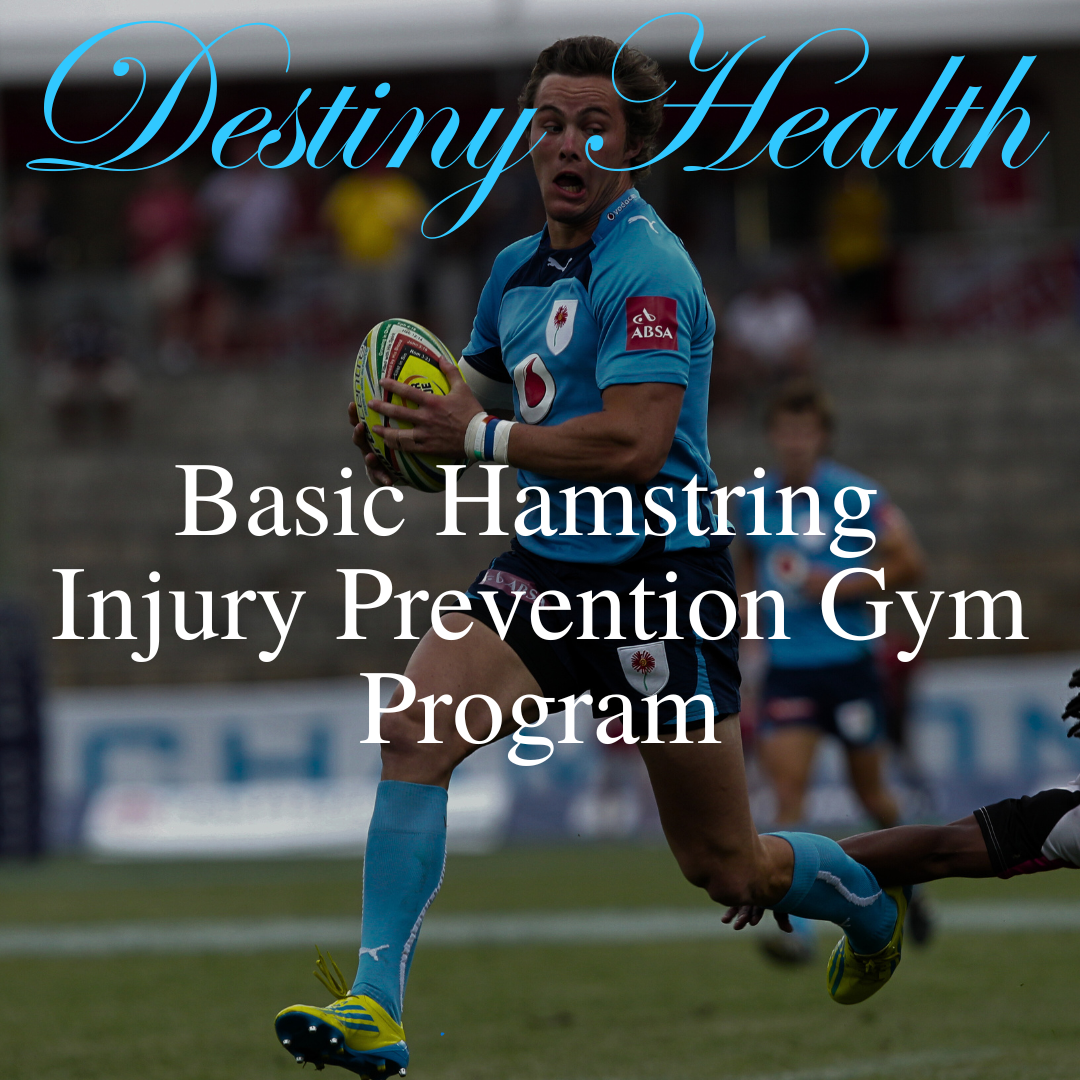 Basic Hamstring Injury Prevention Gym Program