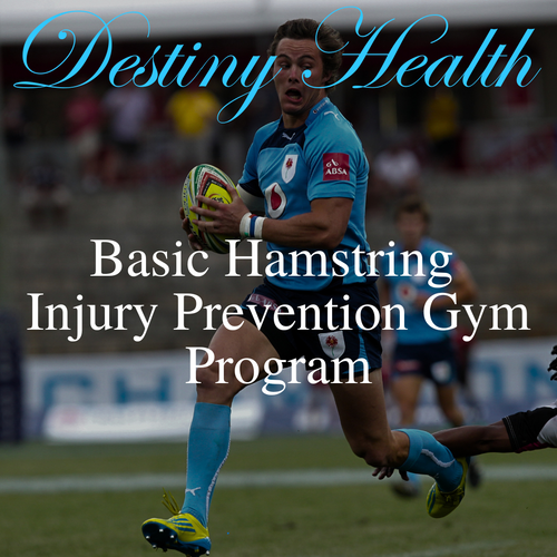 Basic Hamstring Injury Prevention Gym Program