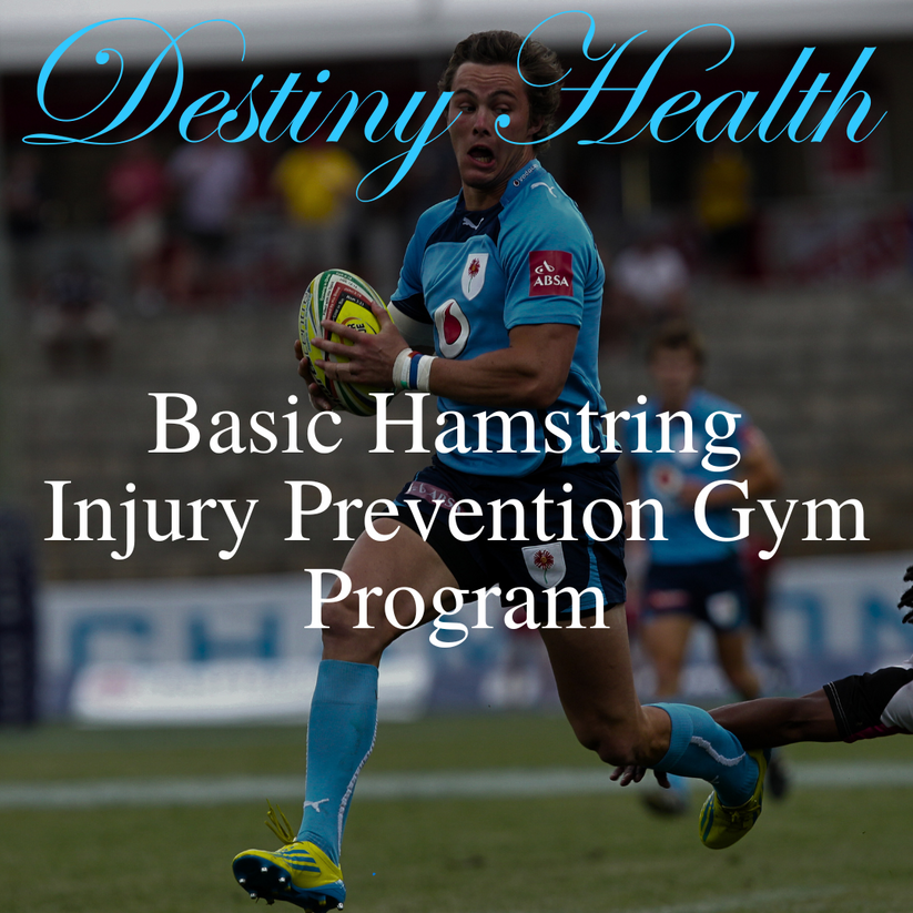 Basic Hamstring Injury Prevention Gym Program – Destiny Health